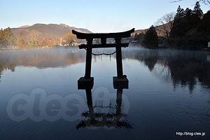 金鱗湖の鳥居 - 朝の金鱗湖