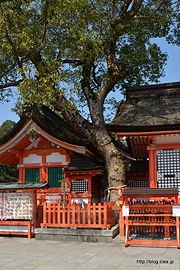 八子神社 - 宇佐神宮の境内めぐり