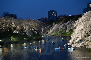 日没から２０分後の千鳥ヶ淵 - 夕暮れ時の千鳥ヶ淵緑道の桜並木