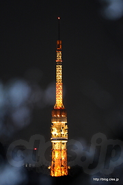 北の丸側から見える東京タワーとさくら - 夕暮れ時の千鳥ヶ淵緑道の桜並木