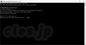 bash を起動しようとするとインストールが始まる - Windows 10 で bash を試してみた