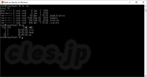 普通に bash - Windows 10 で bash を試してみた