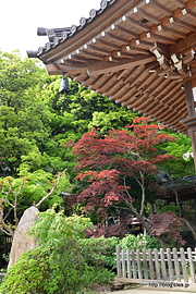 本堂脇 - 深大寺にお参り