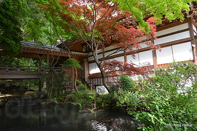 本堂脇の池 - 深大寺にお参り
