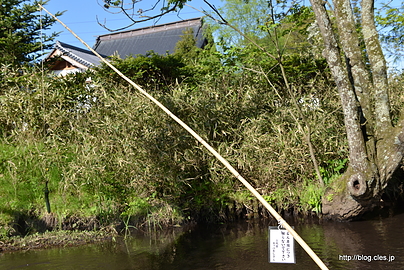 カッパを釣る釣り竿？ - カッパ淵のおじさんは2代目？