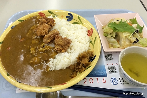 唐揚げカレー（大）、茄子のマリネ - 東工大の学食でカレー