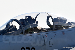 声援に応える F-15（12-8078）のパイロット - 飛行開発実験団の異機種大編隊（2016 岐阜基地航空祭）