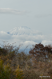 足柄万葉公園から見える富士山 - 足柄万葉公園からの富士山