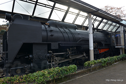 D5270 側面 - 山北鉄道公園と動態化された D52