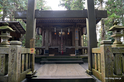奥の院 - 最乗寺のおみくじは「吉」