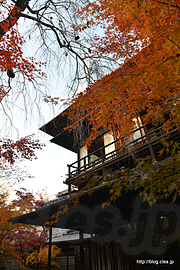 庭から２階を眺める - 旧安田楠雄邸庭園の紅葉を庭から眺める