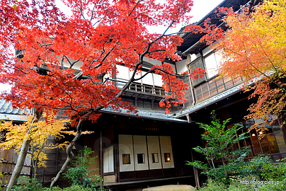 庭から茶の間を眺める - 旧安田楠雄邸庭園の紅葉を庭から眺める
