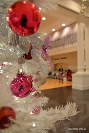 クリスマスツリー - ちょっと早いクリスマスパーティー？