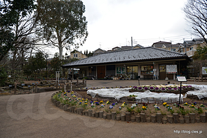 管理事務所 - 板橋区立赤塚植物園で一休み