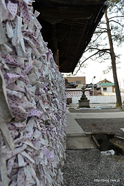 おみくじ - 金沢市最古の神社？「石浦神社」