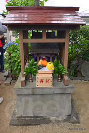 富士塚の頂上にある社 - 白山神社のあじさいまつり