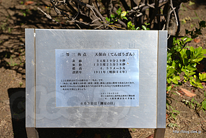 ２等三角点の解説版 - 日本で２番目に低い山「天保山」登頂