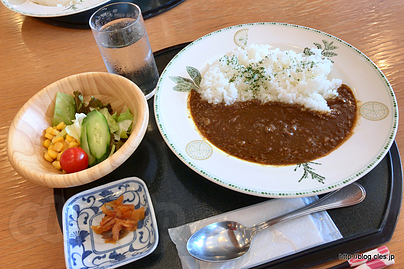 牛すじ？カレー - 悠湯の郷ゆさの牛すじ？カレー