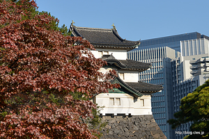 富士見櫓 - 2019 年秋季皇居乾通り一般公開
