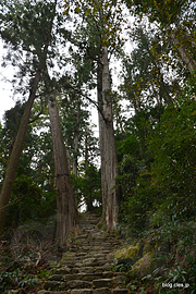 参道 - 那智山青岸渡寺