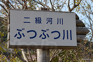 2級河川 ぶつぶつ川 - 和歌山にある日本一短い川？