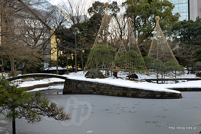 凍る内庭 - 雪と梅の小石川後楽園