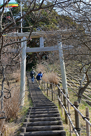 鳥居 - 旧田浦梅林の大六天神社