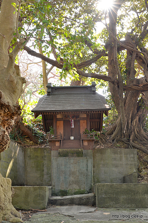 社 - 旧田浦梅林の大六天神社