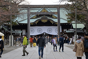 靖國神社 - 開花宣言が出た靖國神社の標本木を観にいってみた