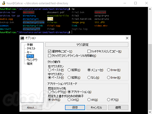 wsltty - wsltty で WSL のターミナルを使いやすくする