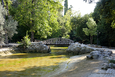 庭園内の池 - アテネ国立庭園（Εθνικός Κήπος）