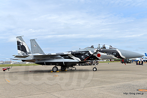 地上展示 F-15（32-8081） - アグレッサーの機動飛行（'18 航空祭 in KOMATSU）