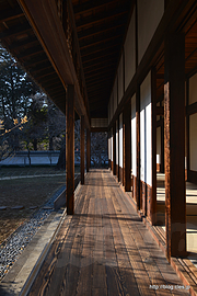 至善堂の廊下 - 弘道館と刀剣乱舞