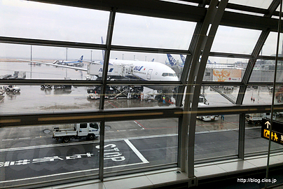 羽田空港 国内線ターミナル - 20年ぶりに沖縄に行ってきます