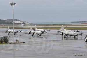 P-3C の群れ - 那覇空港の展望デッキから見える海自機