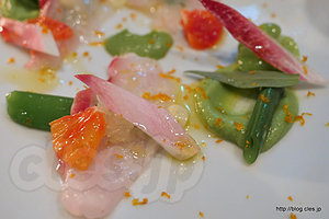前菜 白身魚の空豆ソース ブラッディオレンジ添え - LA BONNE TABLE（ラ・ボンヌ・ターブル）
