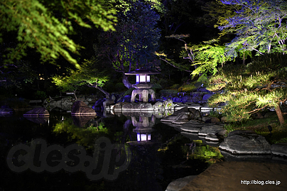日本庭園のライトアップ - 旧古河庭園のバラと洋館・日本庭園のライトアップ 2019