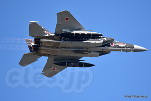 F-15DJ（92-8096 AGR 黒） - AGR の機動飛行と F-15 の大編隊（令和元年航空祭 in KOMATSU）