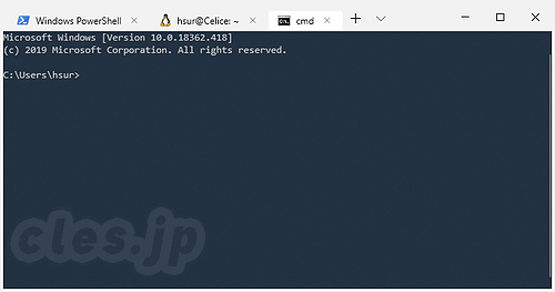 Windows Terminal - Windows Terminal を入れてみた