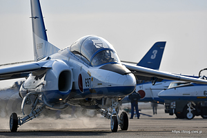 - ブルーインパルスからは少し早いクリスマスツリー（百里基地航空祭 2019）