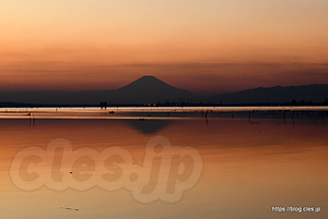 富士山と夕日 - 江川海岸の夕日