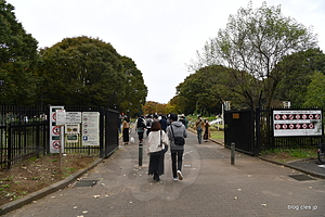  - 代々木公園のバラの園