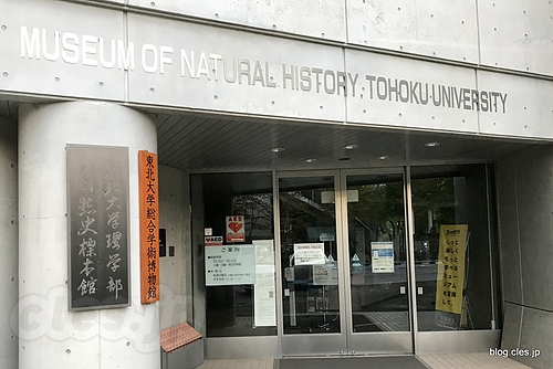 東北大学理学部自然史標本館 - 東北大学理学部自然史標本館は痛恨の臨時休館