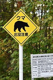 クマ出没注意 - 祭畤（まつるべ）大橋遺構