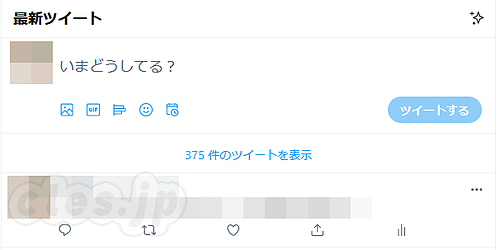 Twitter 手動更新 - Twitter がツイートがどこかに消えてしまう問題を修正