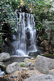 男滝 - 北区立名主の滝公園