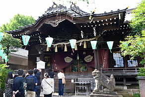 拝殿 - 白山神社の紫陽花祭り 2022