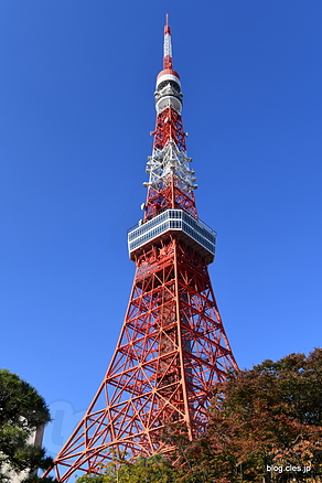 東京タワー - 東京タワーが見える噂の場所に行ってみた