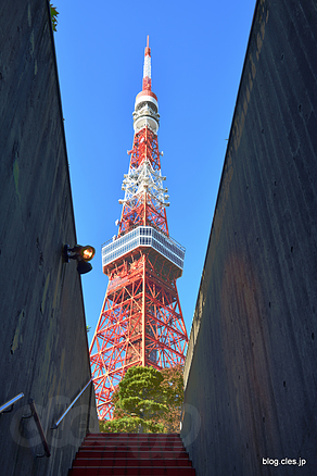 階段から見える東京タワー - 東京タワーが見える噂の場所に行ってみた