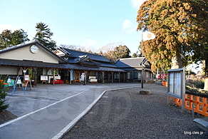 境内 - 熊野那智神社